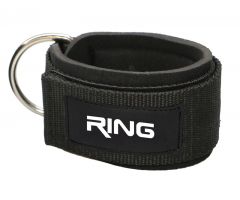 RING dodatak za clanak-RX LEP-6401