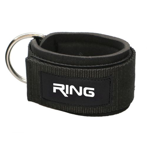 RING dodatak za clanak-RX LEP-6401